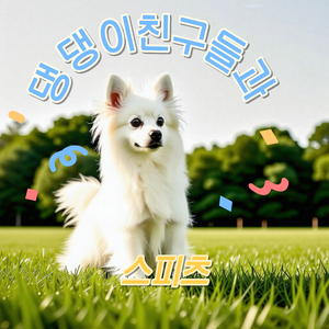 댕댕이 친구들과 스피츠