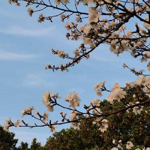 984138981cea647d3d5ca0da10b0289c [高质量]~1