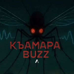 КъамарА BUZZ