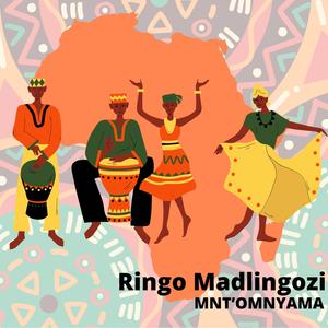 Mnt'omnyama