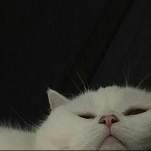 董小姐（翻自 宋冬野）