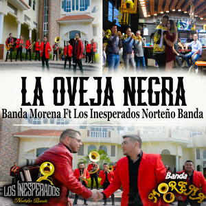 La Oveja Negra