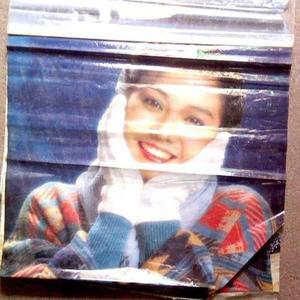 《天津爱情故事之耦荷的回忆》