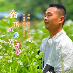 金顶山的花开了