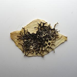 Call to Slumber, Call to Being