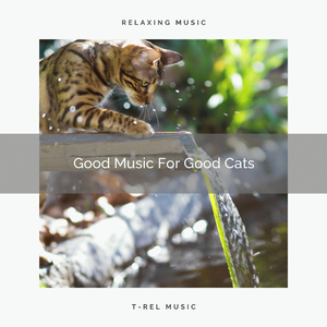 Good Melodies For Good Cats