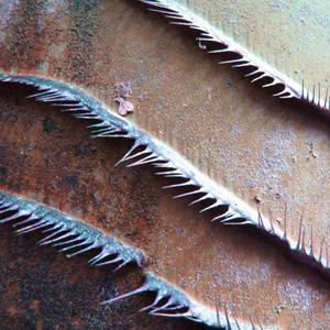 future diary (that's an issue)