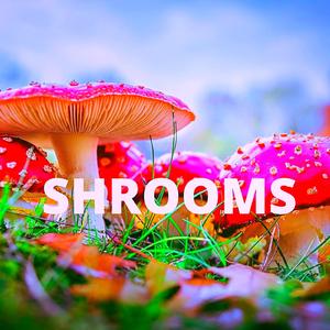 Shrooms (Instrumental) (Instrumental)