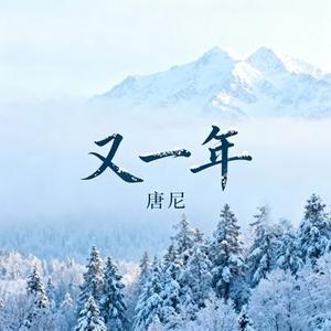 又一年 (纯音乐)