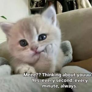 "困倦" sasi x bobby x sadpiano x 痛苦旋律伴奏