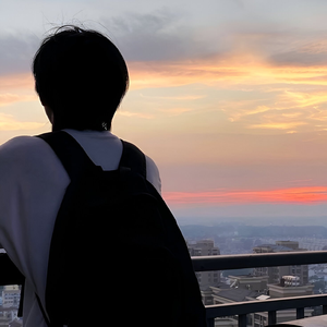 跑到楼顶看落日