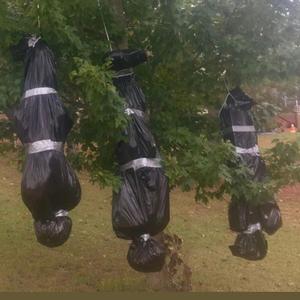 Lucifers Favorite Color