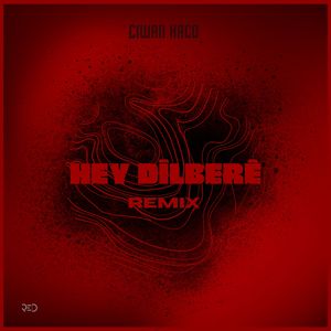 Hey Dilberê (Remix)