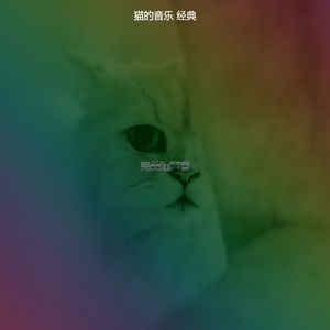 微妙的放松的猫心情