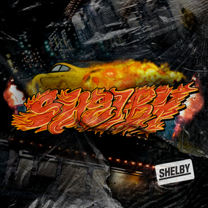 Shelby