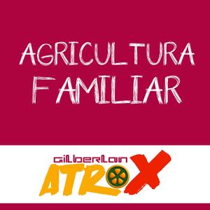 Conteúdo Educacional