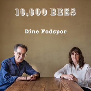 Dine Fodspor
