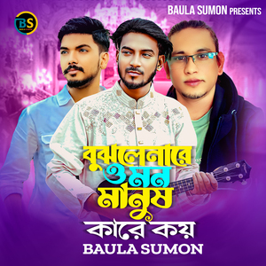 বুঝলে নারে ও মন মানুষ কারে কয়