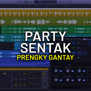 PARTY SENTAK