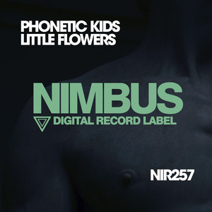 Little Flowers (Original Mix)
