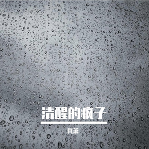 清醒的疯子
