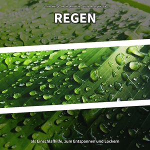 Regengeräusche