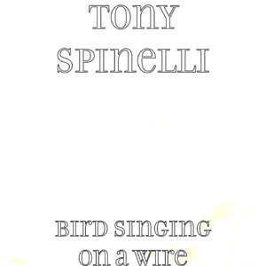 Stultify Acoustic Jam