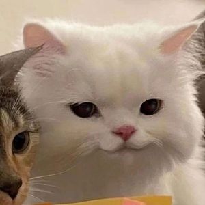 不必在乎我是谁(Live)