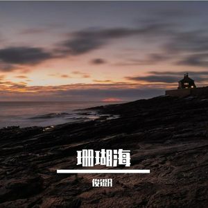 珊瑚の海
