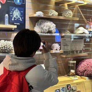 至那之后我逢人便说青岛好