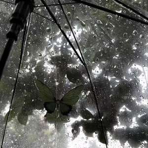 辞九门回忆 邓寓君（等什么君）