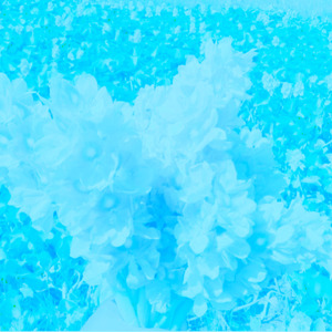 Tại nhiều khi mình không muốn sửa soạn