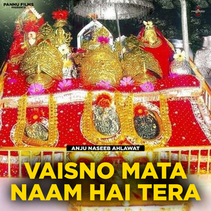 Vaisno Mata Naam Hai Tera