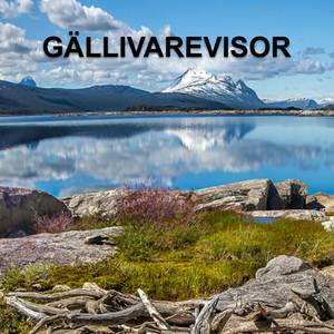 Balladen Om Liikavaara-Frans