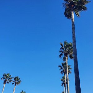 summer fever (Prod. edenbyeden)