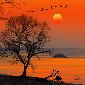 耳边未落的光.mp3