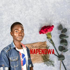 NAPENDWA