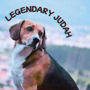 legendary judah