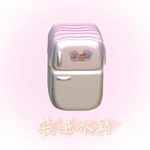 装进冰箱