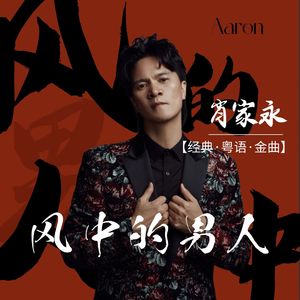 风中的男人 (DjLg版)