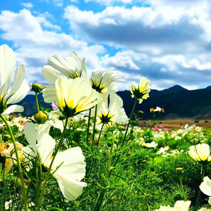 画你个晴空万里 Demo