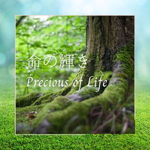 命の輝き