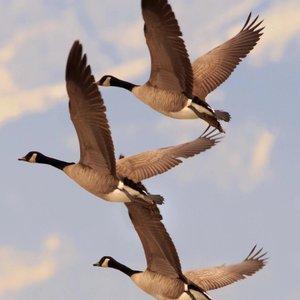 新录音 10@格式转换