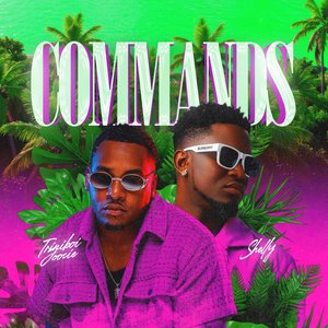 Commands