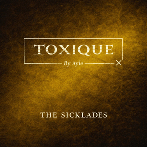 Toxique (remix)