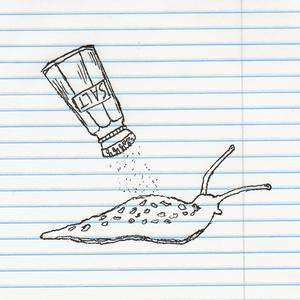 Salt on a Slug