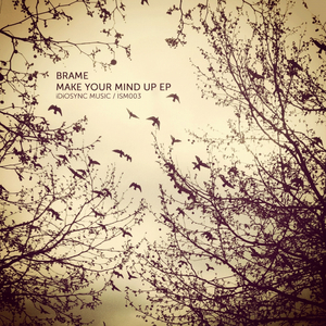 Make Your Mind Up (Rekreation Remix)