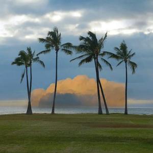 这一生关于你的风景