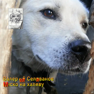 Мяско на халяву
