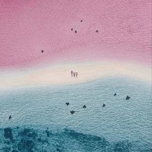 情话（Prod.by DRP_project)